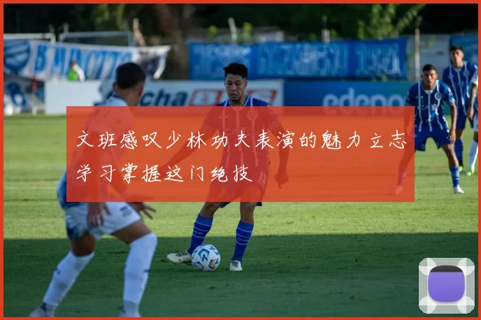 文班感叹少林功夫表演的魅力立志学习掌握这门绝技